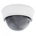 Proline PR-D206SHR3